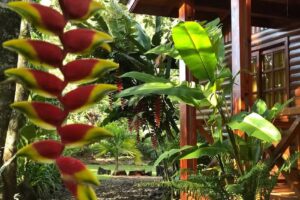 Terra Lodge: Relax & Naturaleza