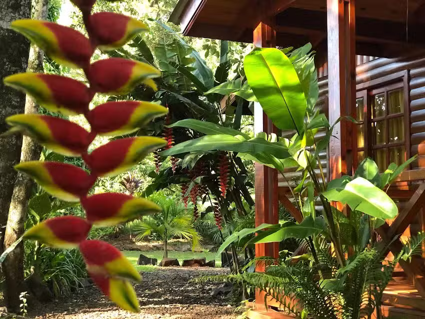 Terra Lodge: Relax & Naturaleza