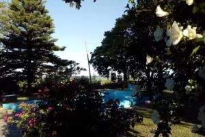 THE QUEEN CHACRA – ALMA DE REINAS