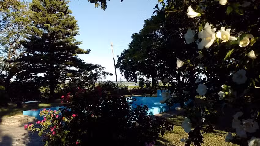 THE QUEEN CHACRA – ALMA DE REINAS