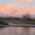 The Vines Resort & Spa