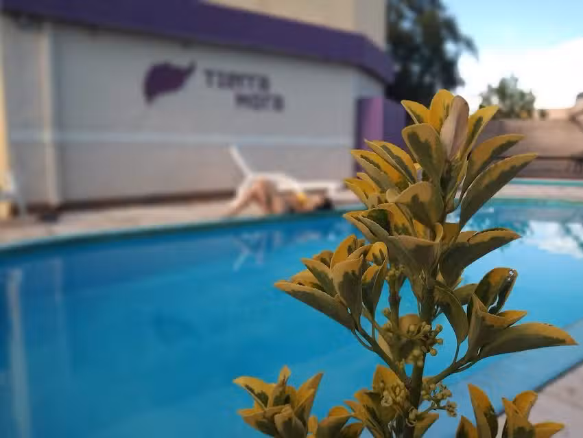 Tierra Mora