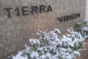 Tierra Virgen Cabañas