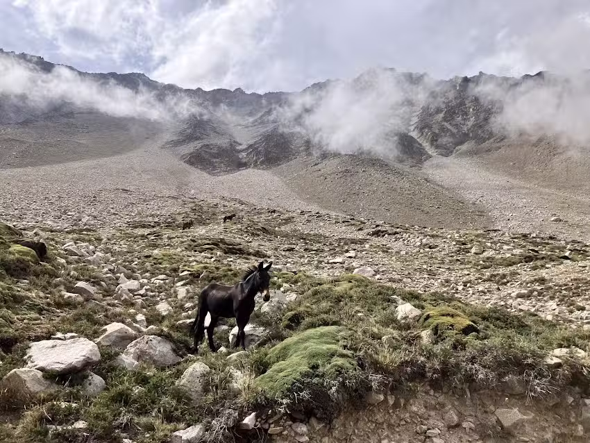 “Trekking Travel Expediciones” Cruce de Los Andes