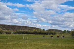 “Tunquelen” (lugar de descanso) camping,cabañas,comedor
