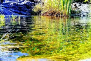 Turismo Rural Los Varela