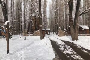 Uspallata CABAÑAS BIEN DE ALTURA