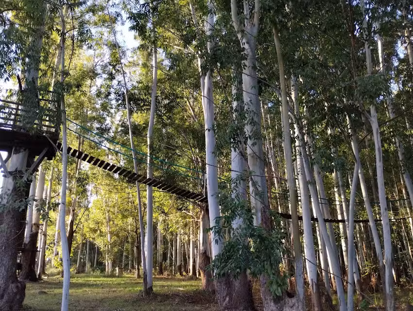 Vertiente de la Concordia