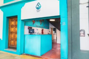 VI&VI Hostel Mendoza