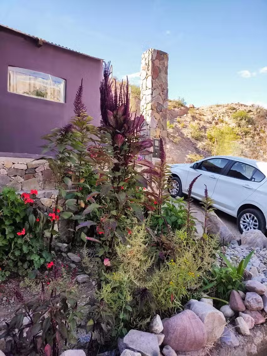 Vía Láctea / Milky Way