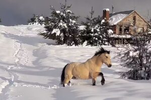 Villa Meliquina, Neuquén Argentina