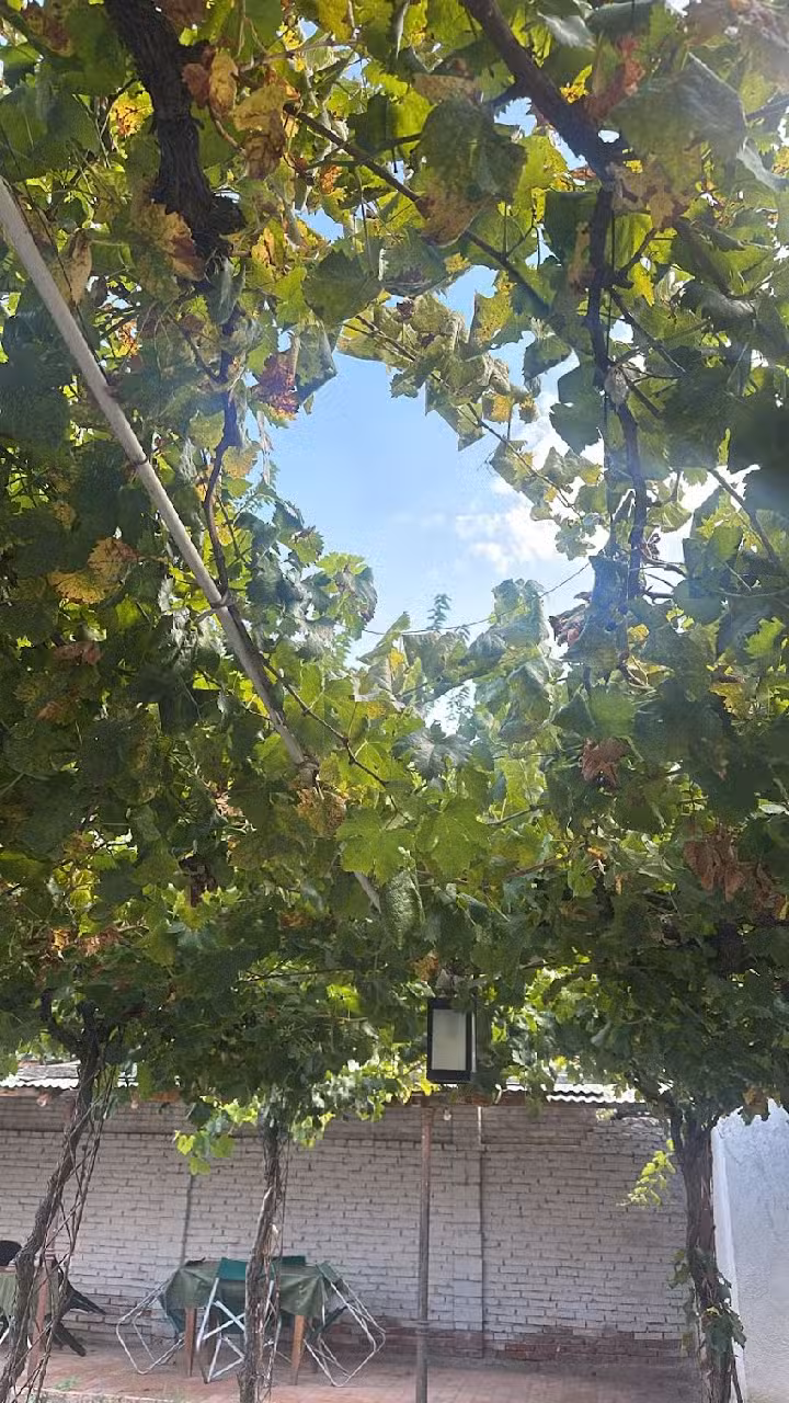 Viña Nueva – Cafayate